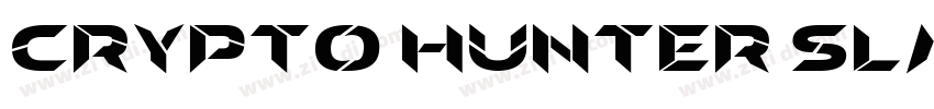 Crypto Hunter Slant Italic字体转换 Crypto Hunter Slant Italic字体转换
